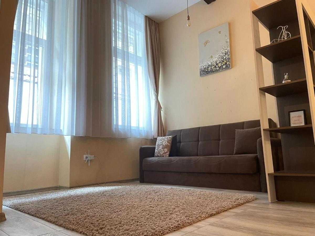 Select City Center Apartments Braşov Dış mekan fotoğraf